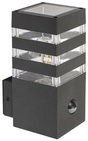 Rabalux 77025- Vonkajšie nástenné svietidlo so senzorom ANKARA 1xE27/12W/230V IP44