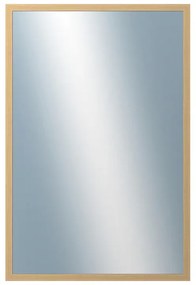 DANTIK - Zrkadlo v rámu, rozmer s rámom 40x60 cm z lišty KASSETTE jaseň malá (2864)