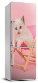 Nálepka fototapeta chladnička Mačka na lehátku FridgeStick-70x190-f-116809359