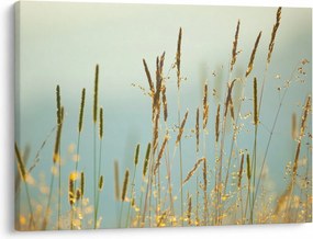 Obraz - Lúčny okamih (70x50 cm)