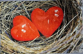 Rohožka, Koberček F 40x60 cm