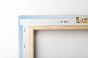 Obraz zasnežená rozprávková krajinka - 40x60