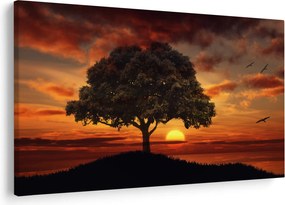 Obraz stromu pri západe slnka (90x60 cm)