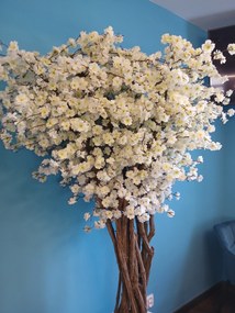 Kvitnúca jabloň viackmenná 220cm