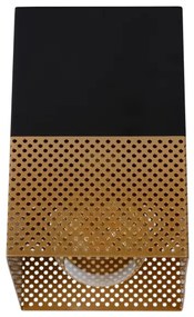 Lucide 21123/01/02 - Stropné svietidlo RENATE 1xE27/40W/230V