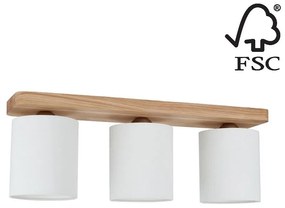 Spot-Light 8512374 - Stropné svietidlo JENTA 3xE27/25W/230V