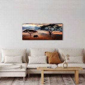 Obraz - Národný park Serengeti, Tanzánia, Afrika (120x50 cm)