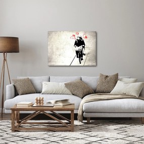Obraz - Pocit voľnosti (70x50 cm)