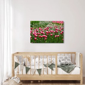 Obraz tulipánov (90x60 cm)