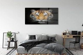 Obraz na akrylátovom skle Tiger 140x70 cm