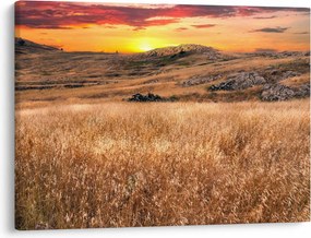 Obraz pole (70x50 cm)