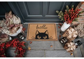 Rohožka 70x45 cm Mix Mats - Hanse Home