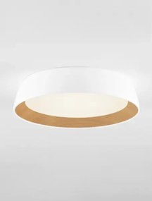 LED stmievateľné bielo-drevené moderné stropné svietidlo Sigi 45