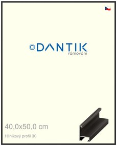 DANTIK rám na obraz 40x50 | ALU Černá matná (Plexi Čiré)