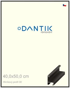 DANTIK rám na obraz 40x50 | ALU Černá matná (Plexi Čiré)