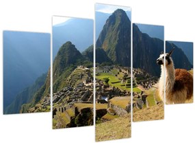 Obrázok - Lama a Machu Picchu (150x105 cm)