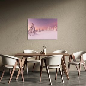 Sklenený obraz - Stromy pod snehovou prikrývkou (70x50 cm)