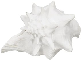 Soška z polyresínu (výška 13 cm) Seashell – Ixia