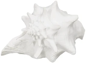 Soška z polyresínu (výška 13 cm) Seashell – Ixia