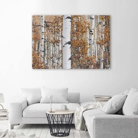 Obraz na plátně Příroda březového lesa - 100x70 cm