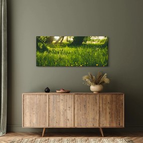 Obraz prírody - lúka (120x50 cm)