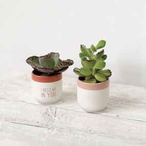räder Keramický obal na kvety I Beleaf in You