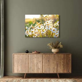 Obraz - Margaréta (90x60 cm)
