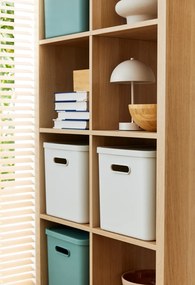 Rotho Úložný box, rovný s vekom, 27l, matne biela ALBU LIGHT, 37x29x30