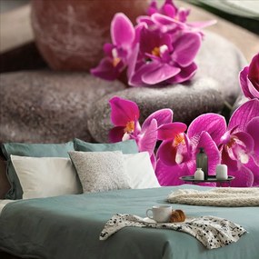 Fototapeta  nádherná orchidea a Zen kamene - 450x300