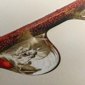 Obraz kvapiek na vetve (70x50 cm)