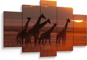 Obraz - Žirafy v africkej savane (150x105 cm)