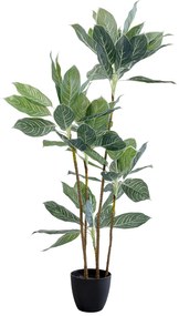 Calathea umelá rastlina zelená 140 cm