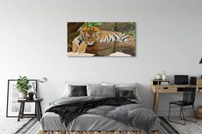 Obraz na akrylátovom skle Tiger tree 125x50 cm