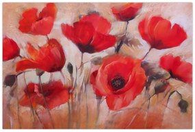 Obraz - Vlčie maky (90x60 cm)