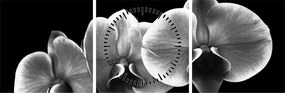 Obraz kvetu orchidey (s hodinami) (90x30 cm)