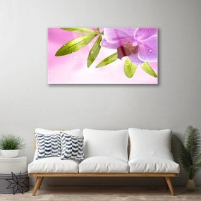 Obraz na skle Kvet listy rastlina 125x50 cm