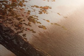 Obraz hmlistý jesenný les - 120x60