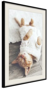 Artgeist Plagát - Lazy Cat [Poster] Veľkosť: 40x60, Verzia: Čierny rám s passe-partout