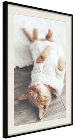 Artgeist Plagát - Lazy Cat [Poster] Veľkosť: 40x60, Verzia: Zlatý rám s passe-partout