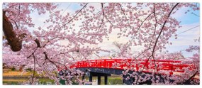 Obraz - Hirosaki, Japonsko (120x50 cm)