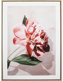 XXXLutz UMELECKÁ TLAČ, kvety, 45/60 cm Monee - Obrazy - 0089580319