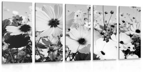 5-dielny obraz lúka jarných kvetov v čiernobielom prevedení Varianta: 200x100