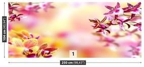 Fototapeta Vliesová Ružová orchidea 152x104 cm