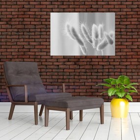 Obraz - Bunny tail grass (90x60 cm)