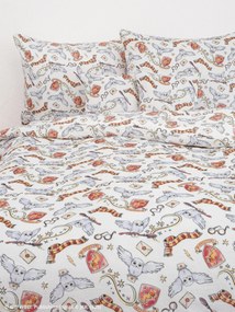 Francúzske obliečky mikroplyš Harry Potter - Chrabromil 2