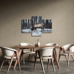 Obraz - jeleň v zime (90x60 cm)