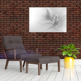 Obraz - Jemná ľalia (90x60 cm)