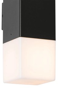 Vonkajšie nástenné svietidlo čierne s opálovým tienidlom 2-svetlo IP44 - Dánsko