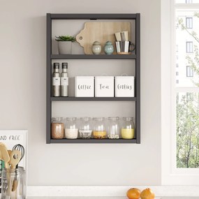 Nástenná polica Pr1-An antracitová