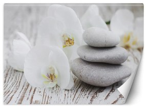 Fototapeta, Květiny Zenové kameny - 350x245 cm